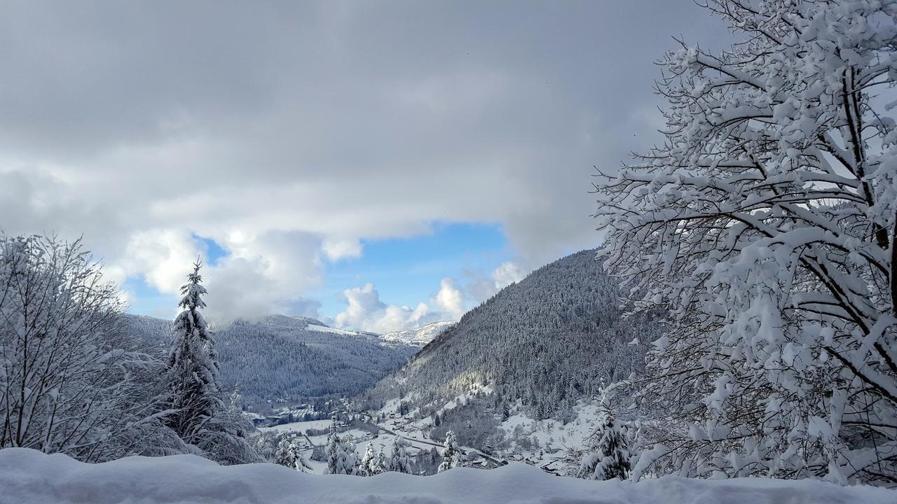 Gite De L'Ours Ла-Бресс Екстер'єр фото